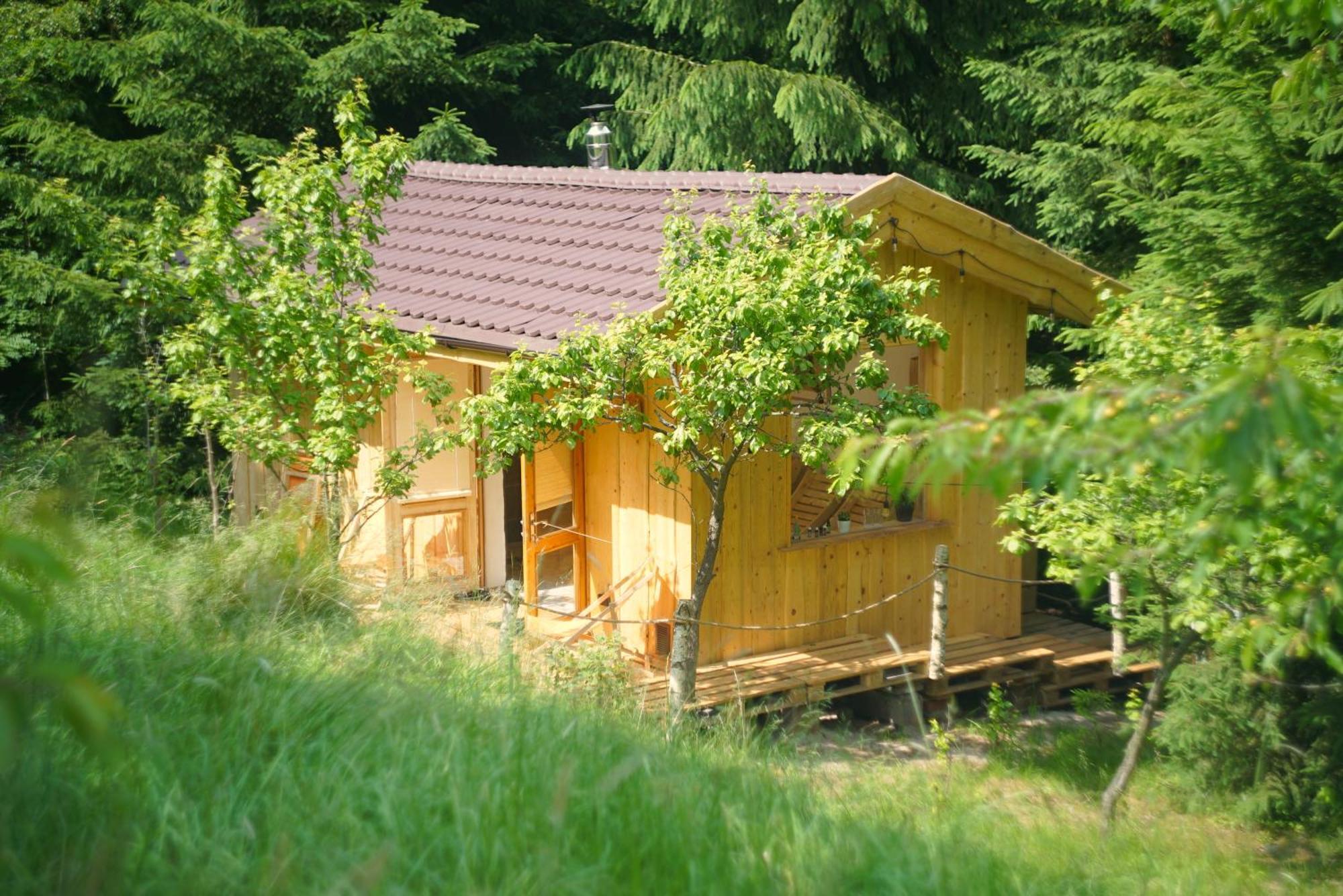 Dobrodziejnia Feriegårder Nowa Ruda